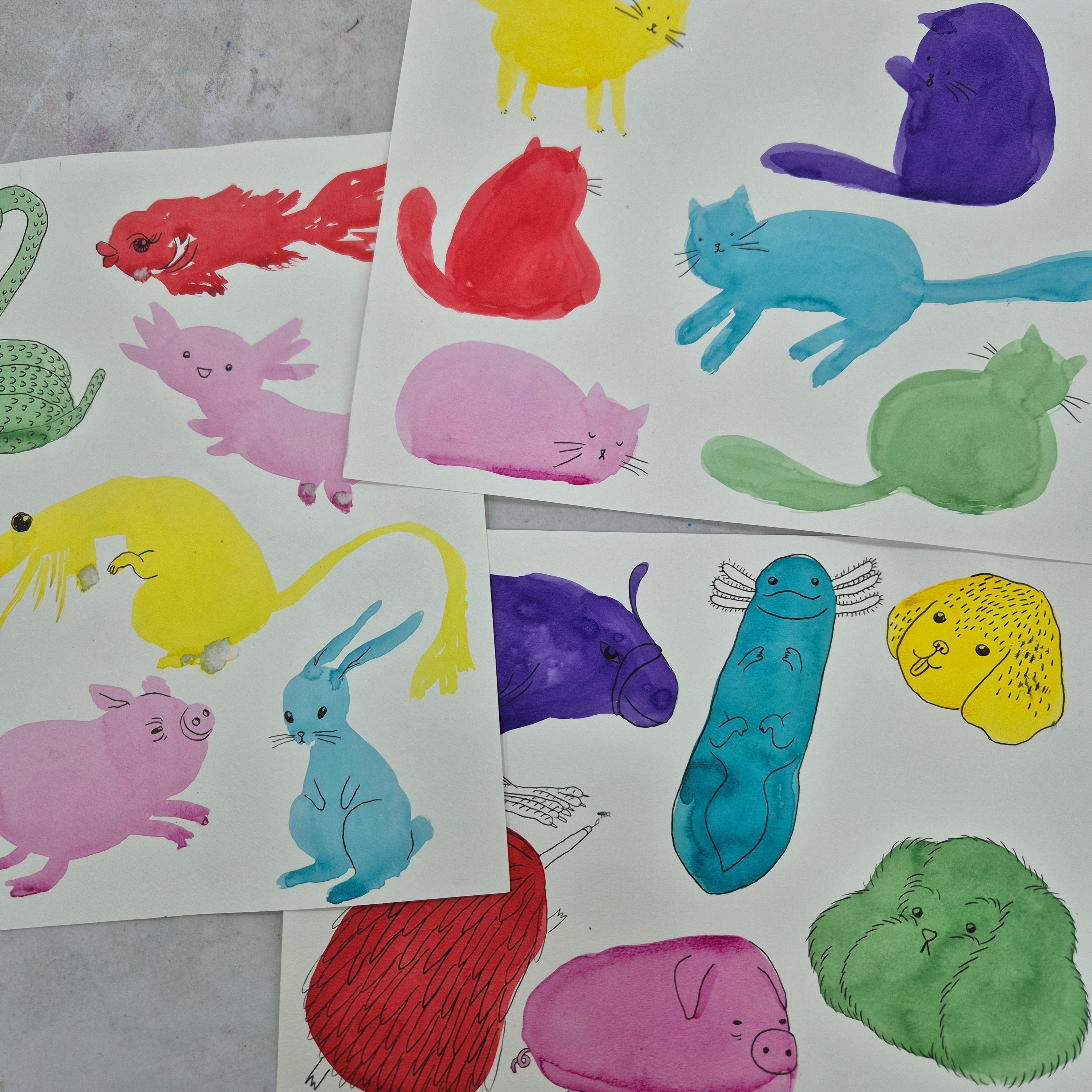 Coloured animals