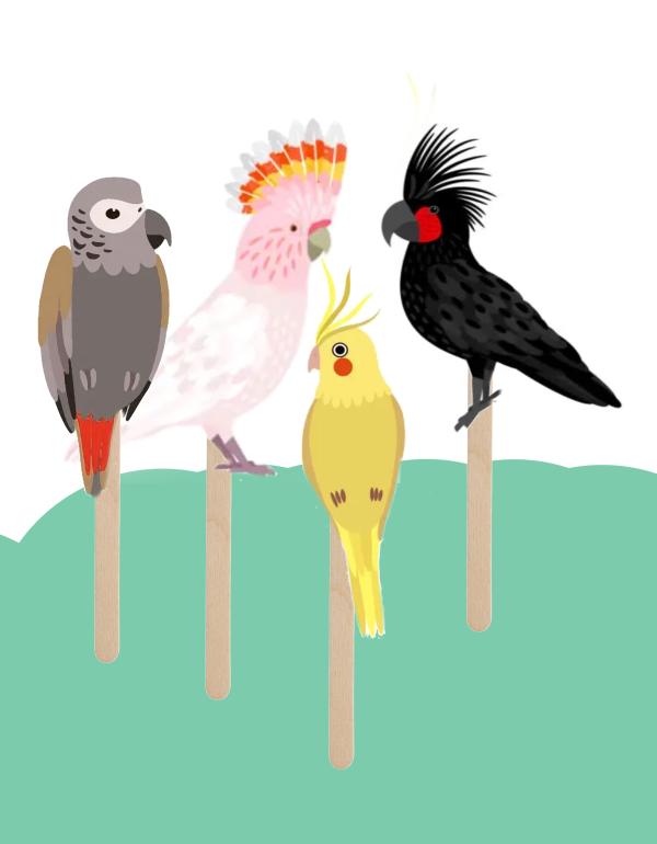 Australian bird puppets on paddlepop sticks
