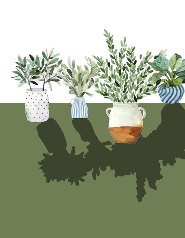 vases and flowers 