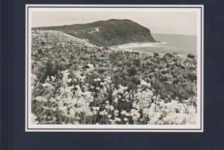 Book Cover, Forresters Beach: A History