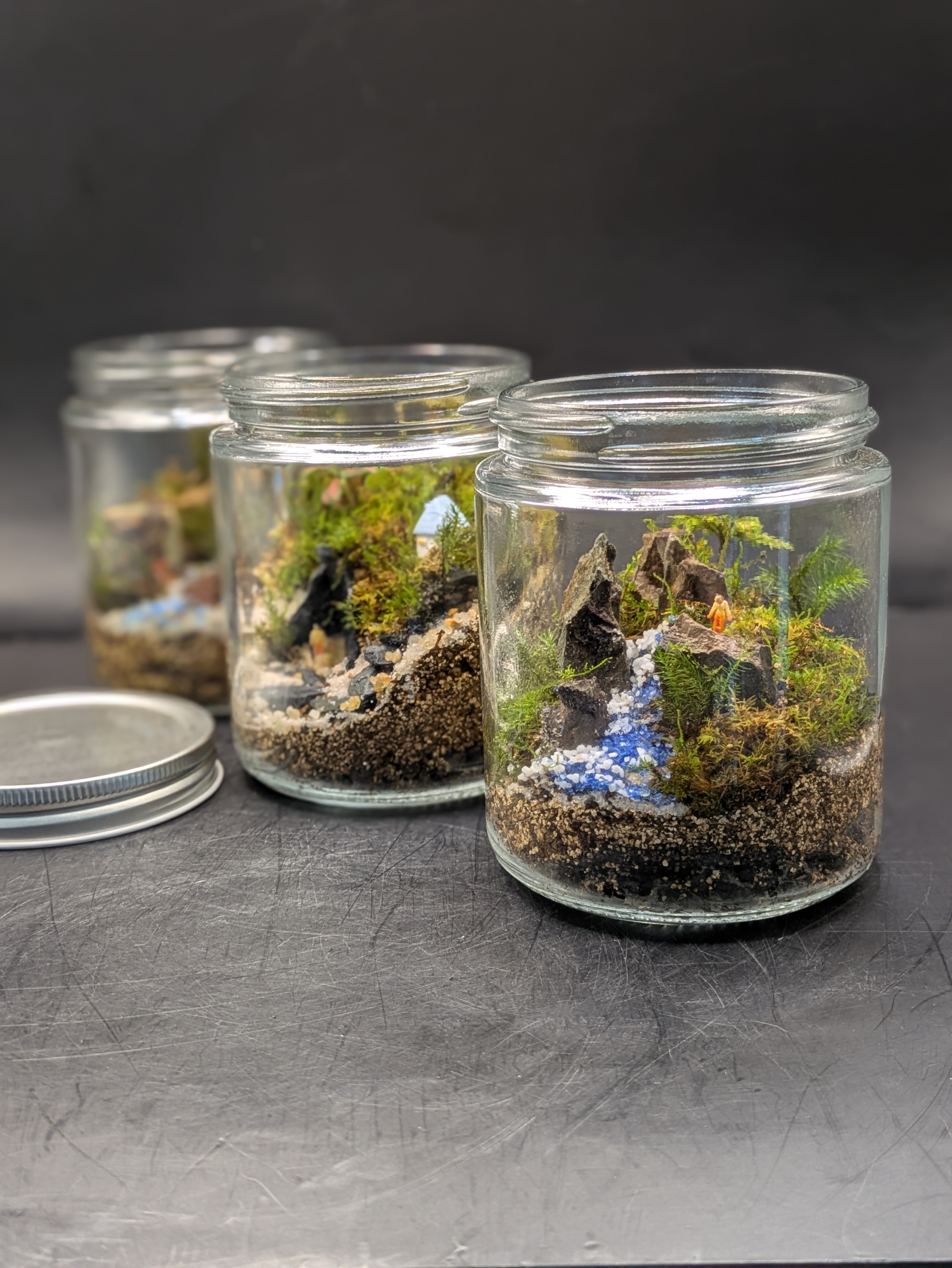 Jars with miniature garden inside them