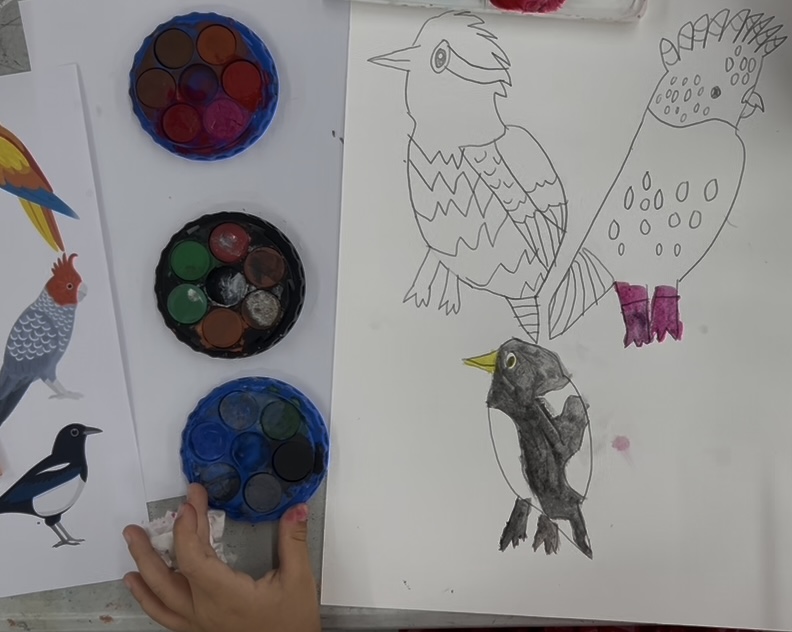 watercolour drawings of a black and white bird