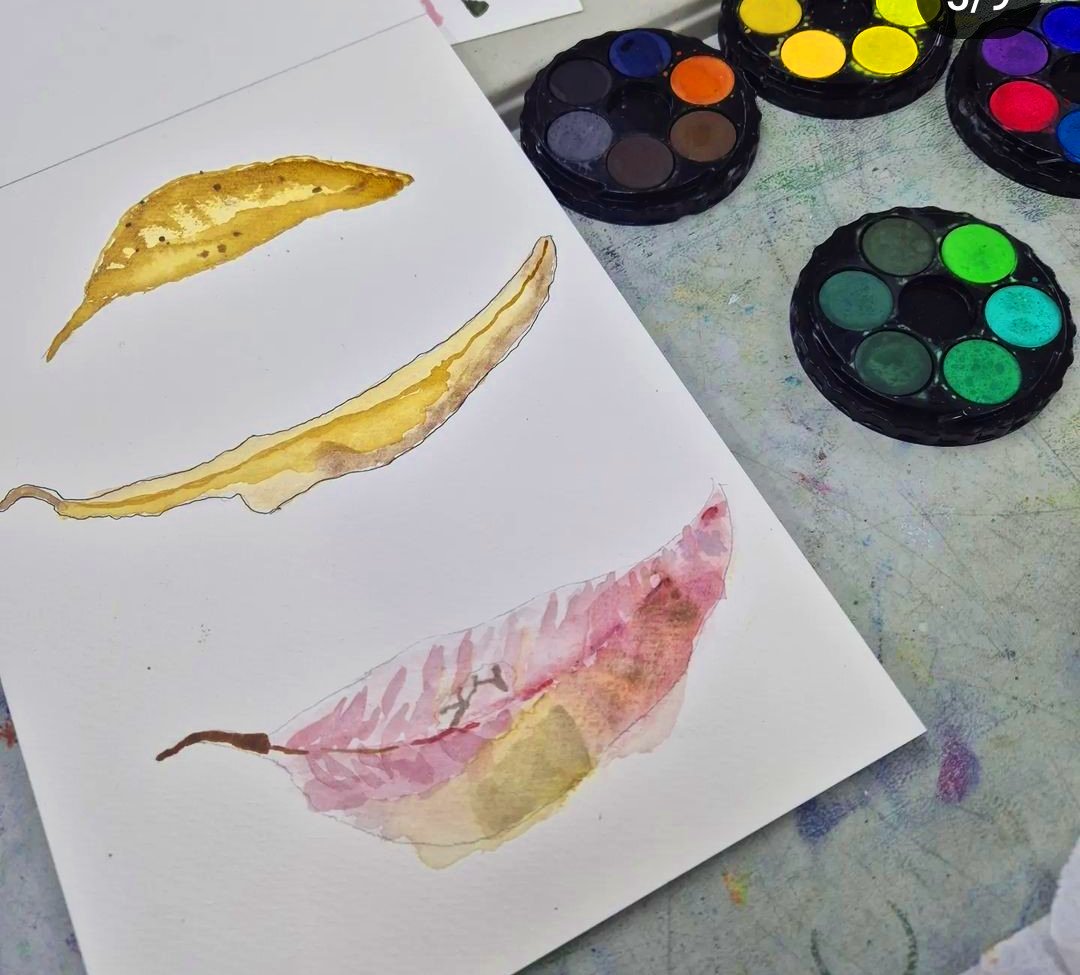 Watercolour of gum leaves