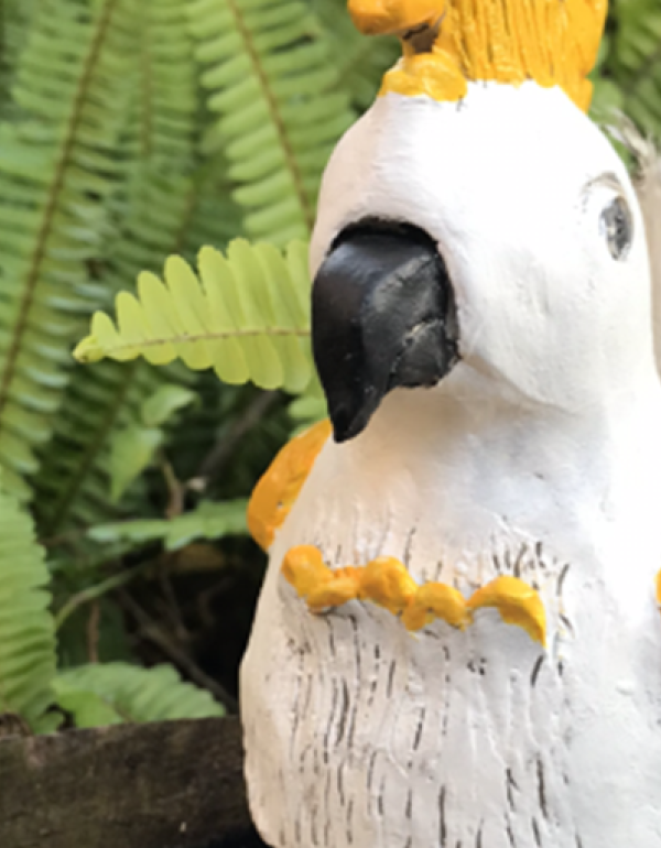 Clay Cockatoo