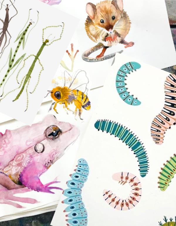 Drawing of a pink frog, worms and a moth