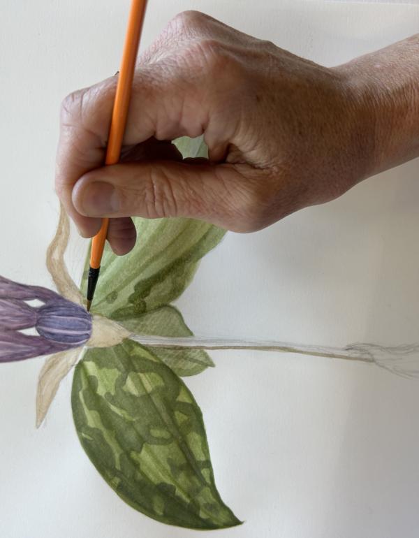 Hand painting flower