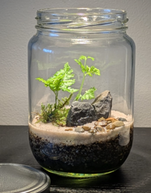 Glass jar with small plant, rocks and soil.